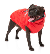 The Eastcoast Harness Jacket - Red -FINAL SALE NO RETURNS OR EXCHANGES